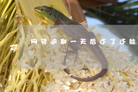 网贷逾期一天后还了还能申请吗
