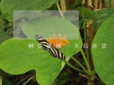 网贷逾期一天后还款 网贷逾期一天后还款