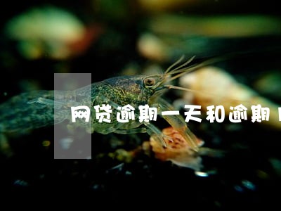 网贷逾期一天和逾期10天