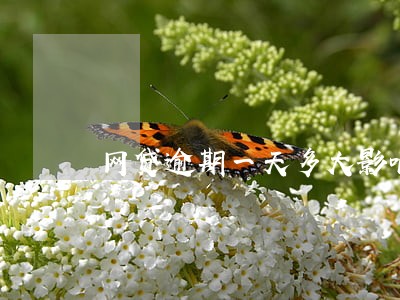 网贷逾期一天多大影响 网贷逾期一天多大影响