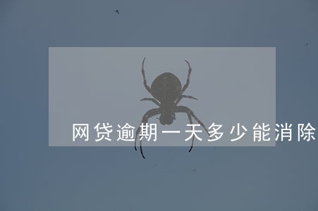 网贷逾期一天多少能消除 网贷逾期一天多少能消除