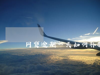 网贷逾期一天如何补救 网贷逾期一天如何补救
