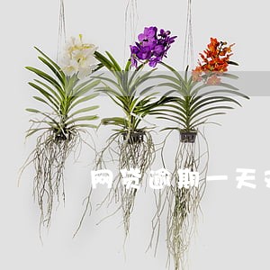网贷逾期一天对房贷有影响吗 网贷逾期一天对房贷有影响吗