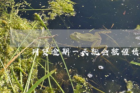 网贷逾期一天就会被催债 网贷逾期一天就会被催债