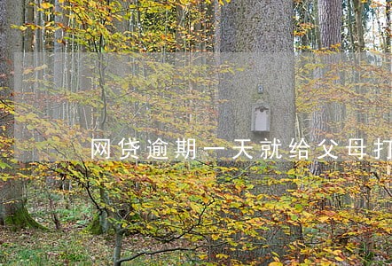 网贷逾期一天就给父母打电话 网贷逾期一天就给父母打电话