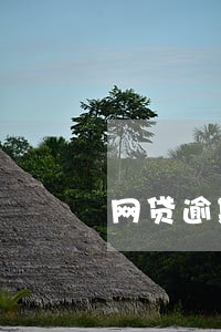 网贷逾期一天就让还清所有 网贷逾期一天就让还清所有
