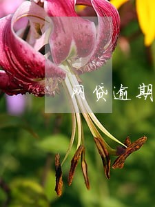 网贷逾期一天就骚扰家人怎么办 网贷逾期一天就骚扰家人怎么办