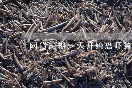 网贷逾期一天开始恐吓算什么 网贷逾期一天开始恐吓算什么