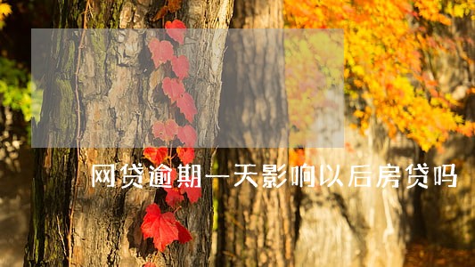 网贷逾期一天影响以后房贷吗