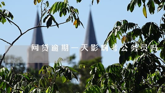 网贷逾期一天影响考公务员吗 网贷逾期一天影响考公务员吗