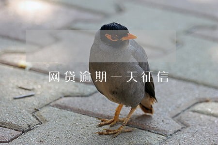 网贷逾期一天征信 网贷逾期一天征信