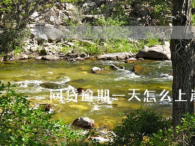 网贷逾期一天怎么上岸 网贷逾期一天怎么上岸