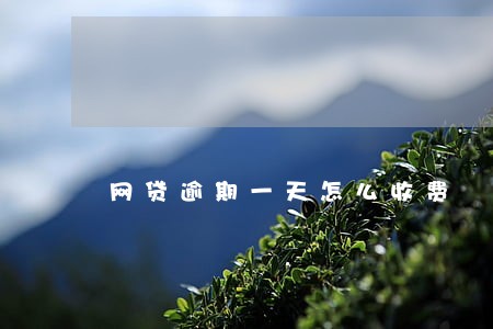 网贷逾期一天怎么收费 网贷逾期一天怎么收费