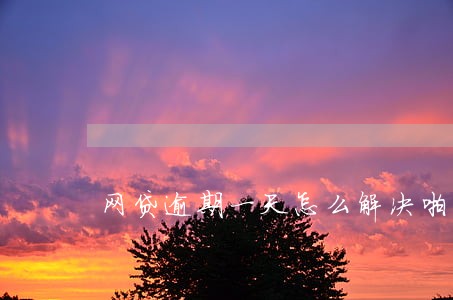 网贷逾期一天怎么解决啪啪贷 网贷逾期一天怎么解决啪啪贷