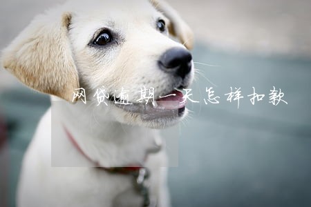 网贷逾期一天怎样扣款 网贷逾期一天怎样扣款