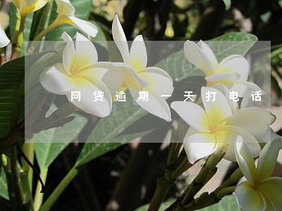 网贷逾期一天打电话 网贷逾期一天打电话