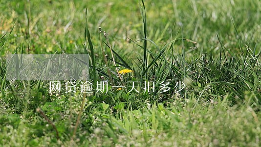 网贷逾期一天扣多少