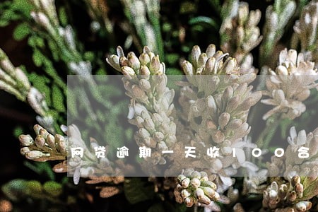 网贷逾期一天收100合法吗 网贷逾期一天收100合法吗