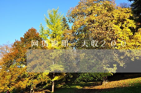 网贷逾期一天收200 网贷逾期一天收200