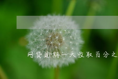 网贷逾期一天收取百分之五 网贷逾期一天收取百分之五