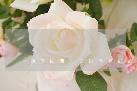 网贷逾期一天是否有影响 网贷逾期一天是否有影响