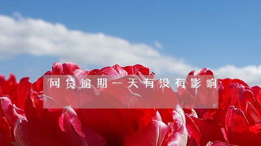 网贷逾期一天有没有影响 网贷逾期一天有没有影响