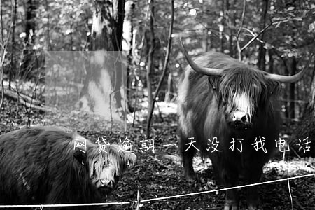 网贷逾期一天没打我电话 网贷逾期一天没打我电话