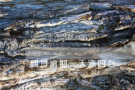 网贷逾期一天涨四百 网贷逾期一天涨四百