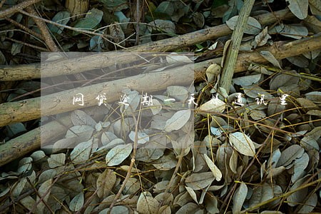 网贷逾期一天爆通讯里 网贷逾期一天爆通讯里