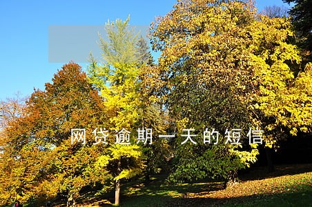 网贷逾期一天的短信