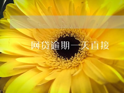 网贷逾期一天直接