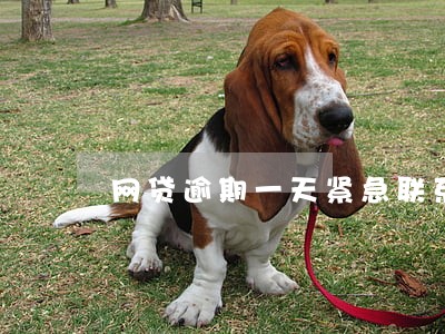 网贷逾期一天紧急联系人打电话 网贷逾期一天紧急联系人打电话