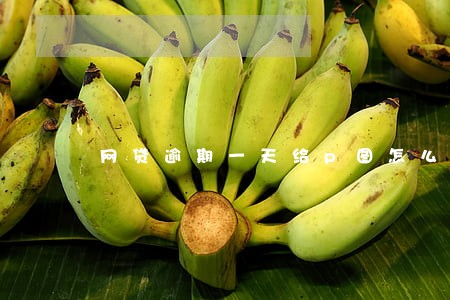 网贷逾期一天给p图怎么处理 网贷逾期一天给p图怎么处理