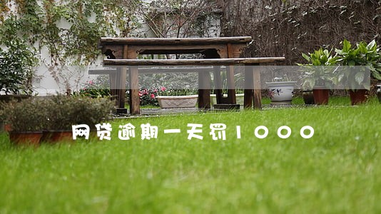 网贷逾期一天罚1000 网贷逾期一天罚1000