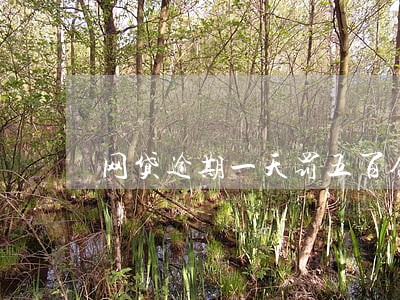 网贷逾期一天罚五百合理吗 网贷逾期一天罚五百合理吗