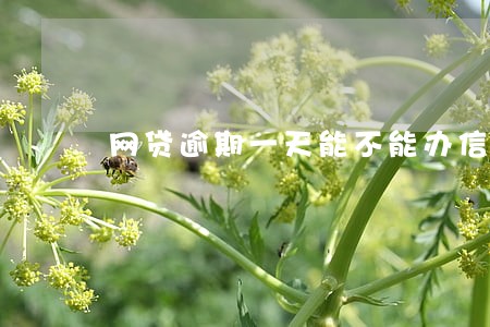 网贷逾期一天能不能办信用卡