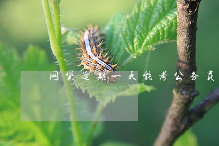 网贷逾期一天能考公务员吗 网贷逾期一天能考公务员吗