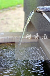 网贷逾期一天被代偿上征信怎么办 网贷逾期一天被代偿上征信怎么办