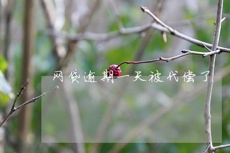 网贷逾期一天被代偿了 网贷逾期一天被代偿了