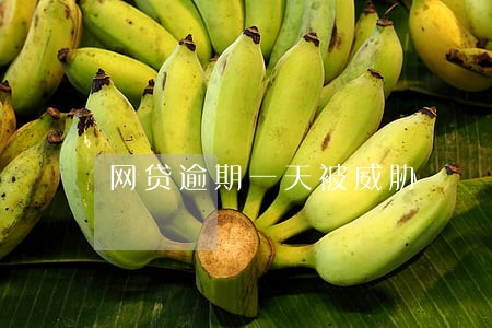 网贷逾期一天被威胁 网贷逾期一天被威胁