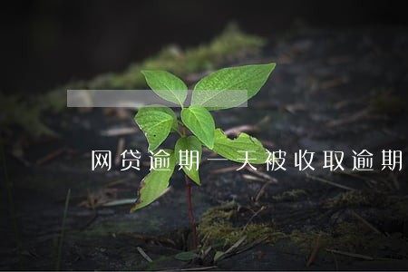 网贷逾期一天被收取逾期费 网贷逾期一天被收取逾期费