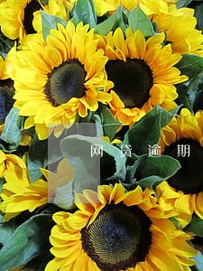 网贷逾期一天要多少利息 网贷逾期一天要多少利息