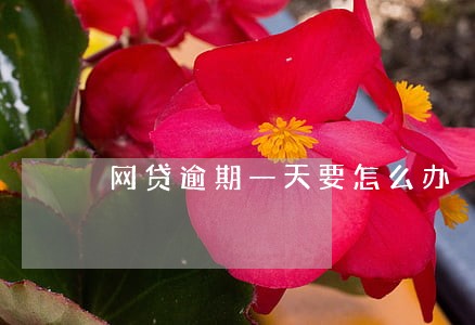 网贷逾期一天要怎么办 网贷逾期一天要怎么办