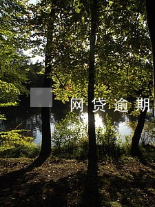 网贷逾期一天要求全额还款 网贷逾期一天要求全额还款
