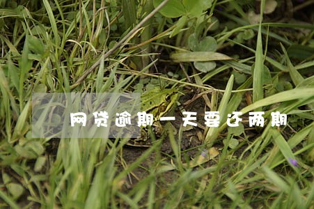 网贷逾期一天要还两期