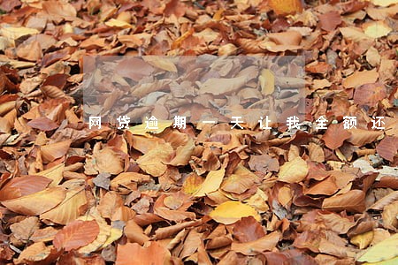 网贷逾期一天让我全额还款 网贷逾期一天让我全额还款