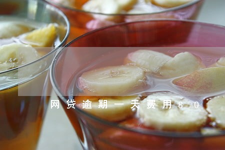 网贷逾期一天费用80