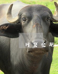 网贷逾期一天还了爆通讯录 网贷逾期一天还了爆通讯录