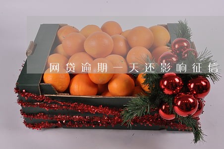 网贷逾期一天还影响征信吗 网贷逾期一天还影响征信吗