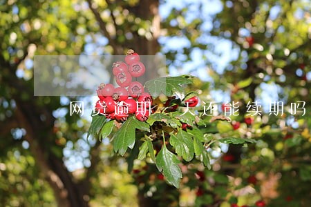 网贷逾期一天还能续期吗 网贷逾期一天还能续期吗